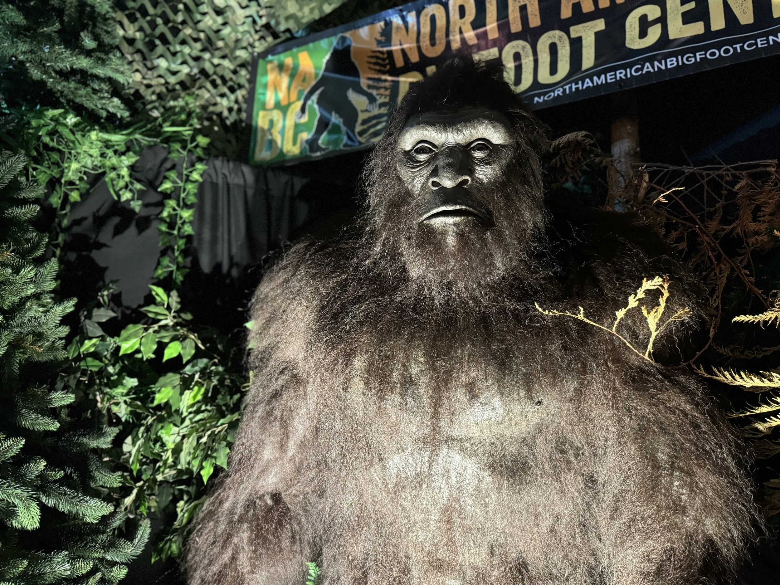 Exploring the Bigfoot Mystery Across Oregon — Modern Traveller
